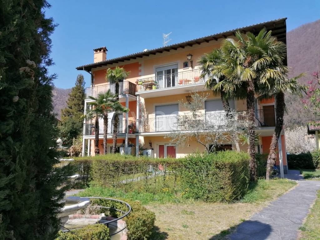 immagine annuncio 10 di 15