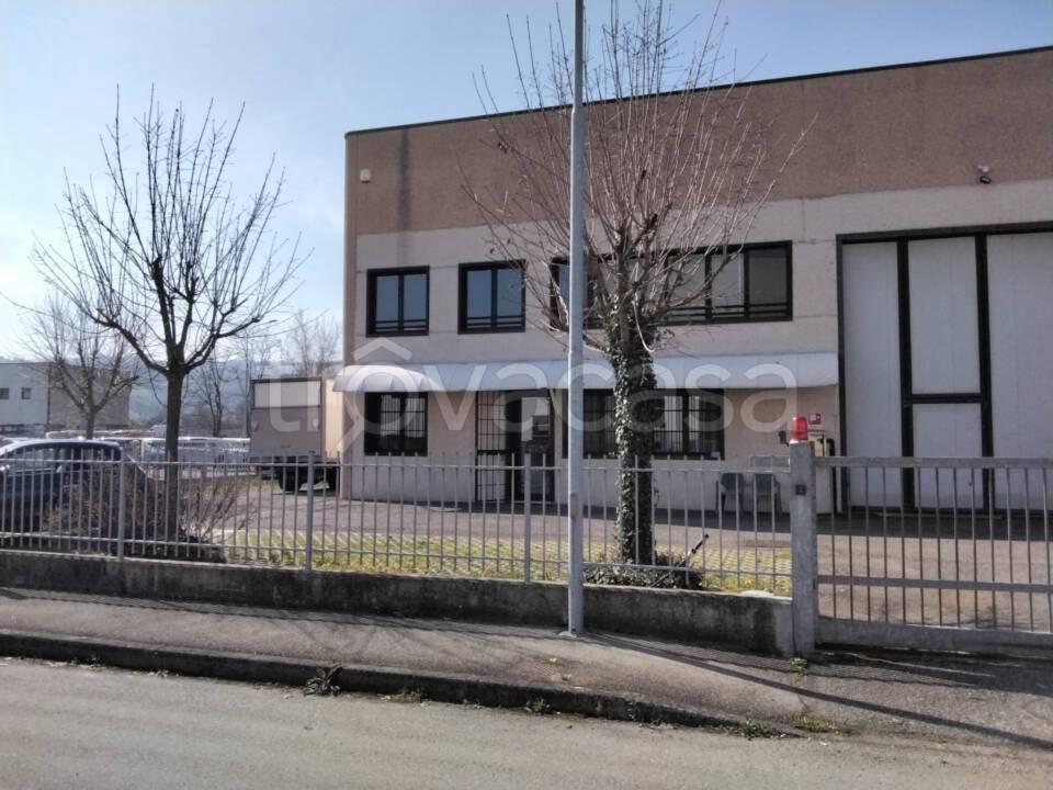 immagine annuncio 1 di 9