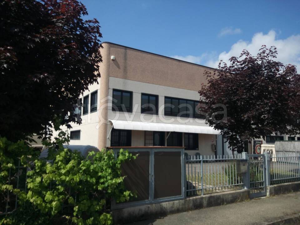 immagine annuncio 2 di 9