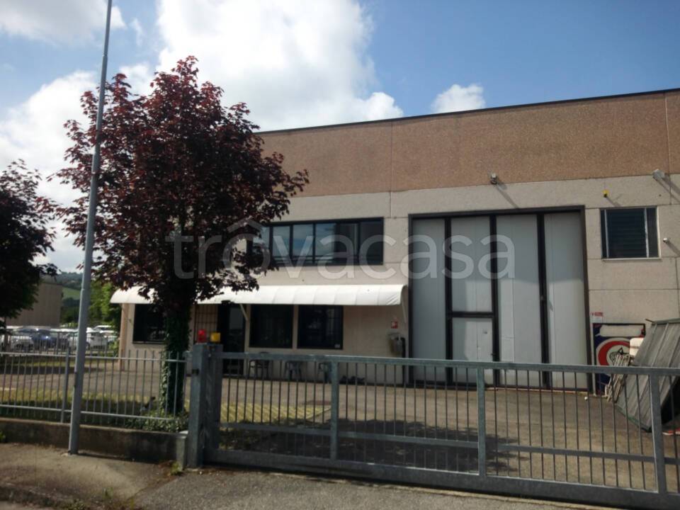 immagine annuncio 3 di 9