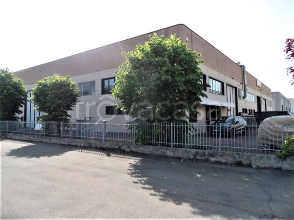 immagine annuncio 4 di 9