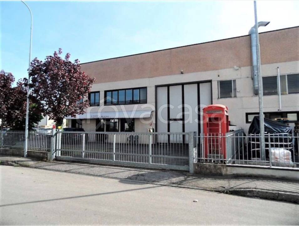 immagine annuncio 5 di 9