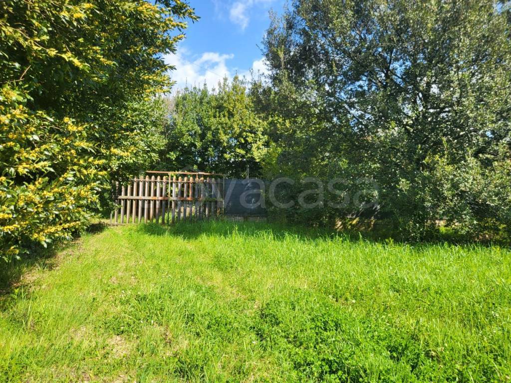 immagine annuncio 1 di 13