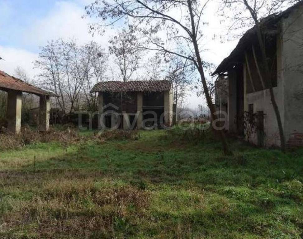 immagine annuncio 7 di 11