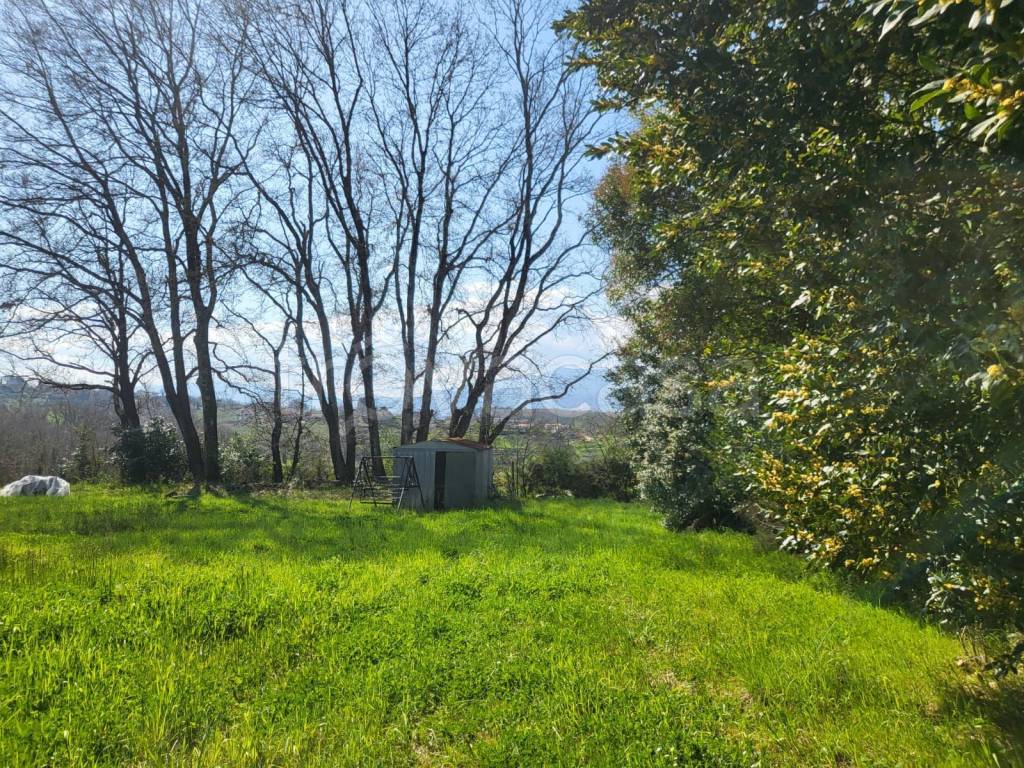 immagine annuncio 7 di 13