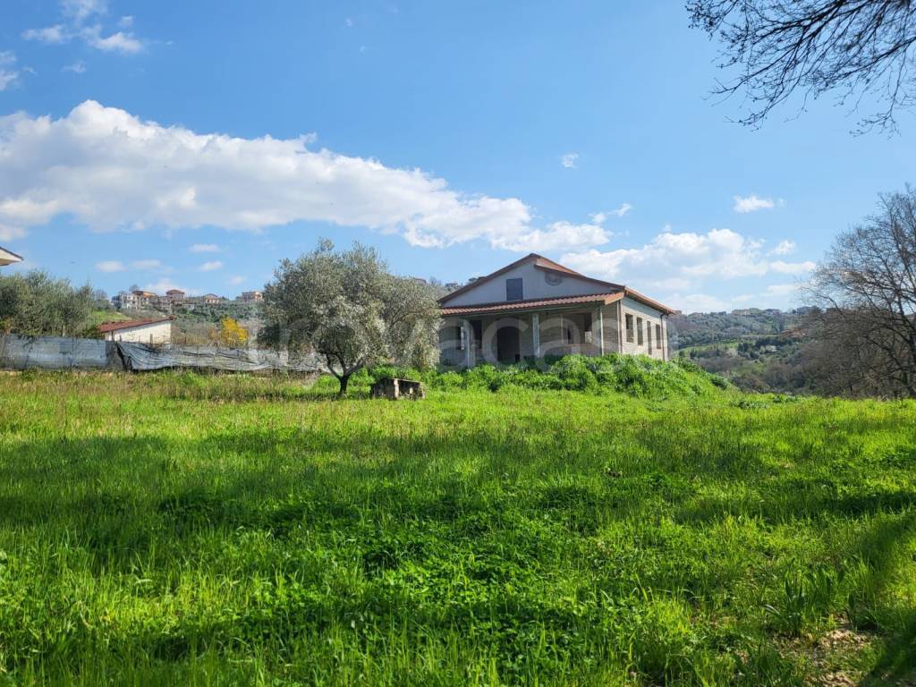 immagine annuncio 10 di 13