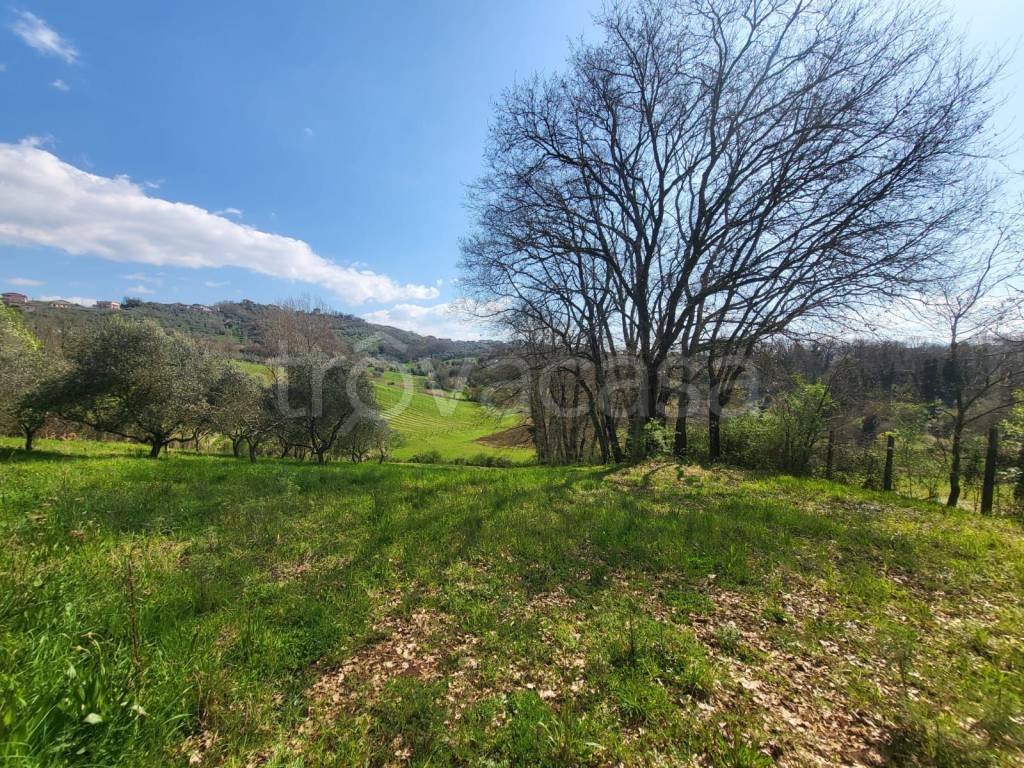 immagine annuncio 12 di 13