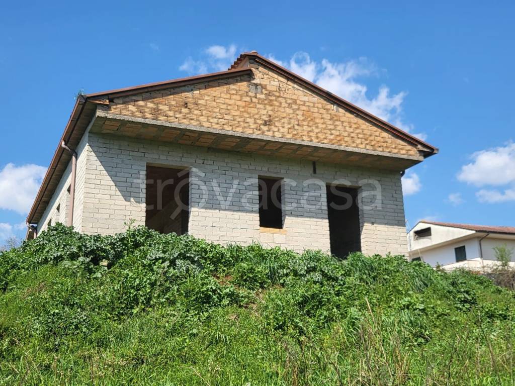 immagine annuncio 11 di 13