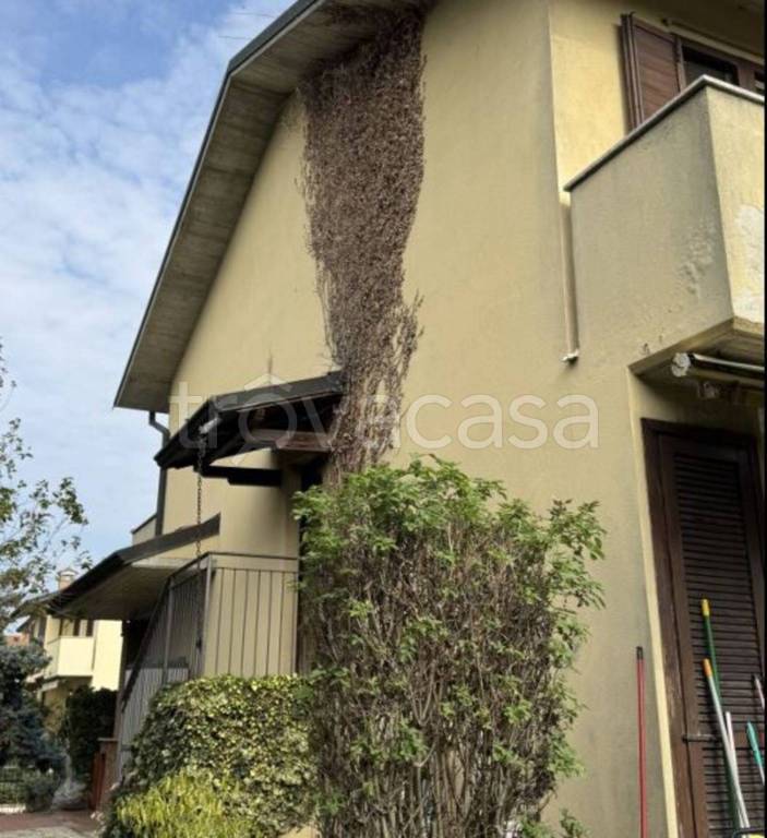 immagine annuncio 3 di 11