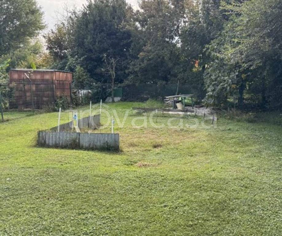 immagine annuncio 5 di 11