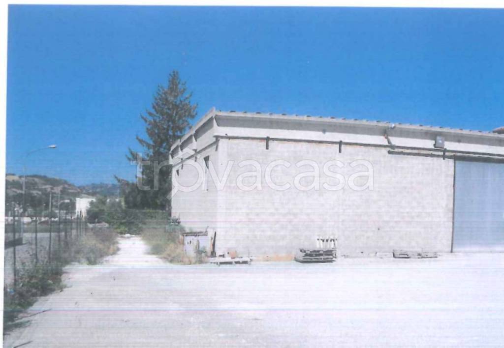 immagine annuncio 1 di 7