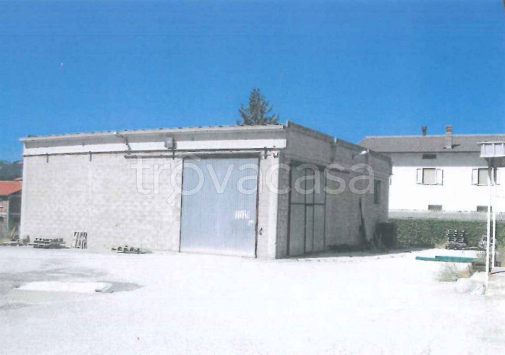 immagine annuncio 2 di 7