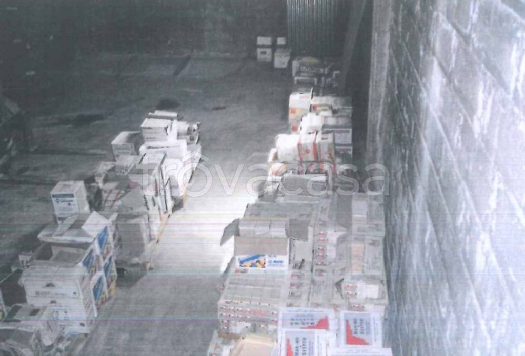 immagine annuncio 3 di 7