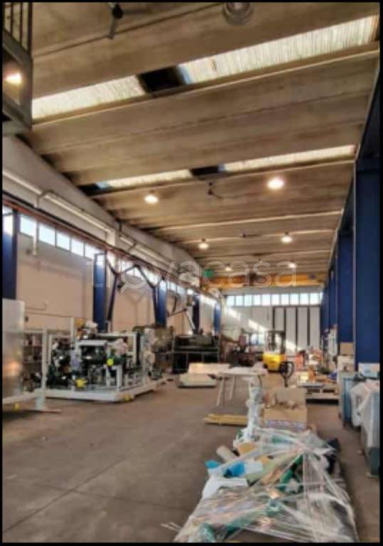 immagine annuncio 2 di 12