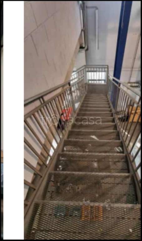 immagine annuncio 3 di 12