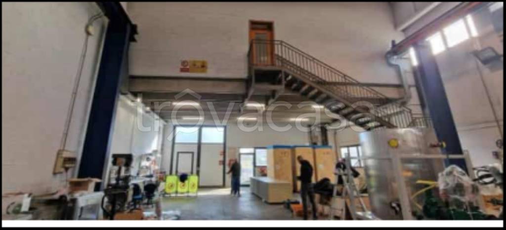 immagine annuncio 4 di 12