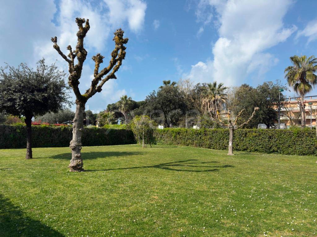 immagine annuncio 2 di 12