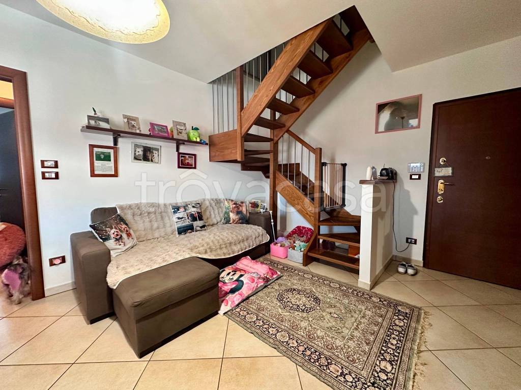 immagine annuncio 11 di 15