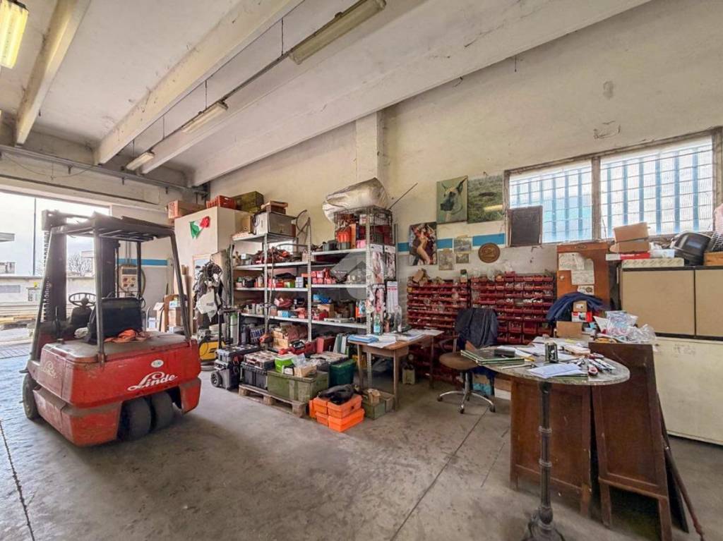 immagine annuncio 5 di 15