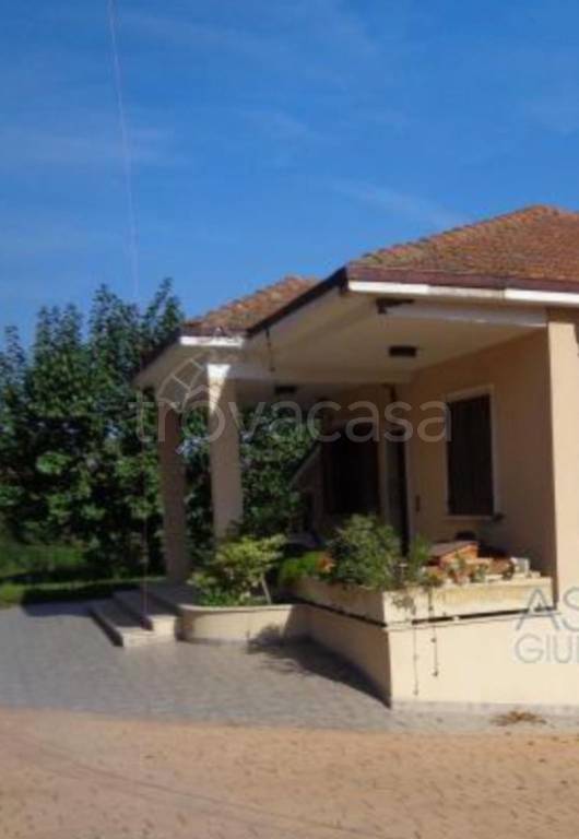 immagine annuncio 7 di 13