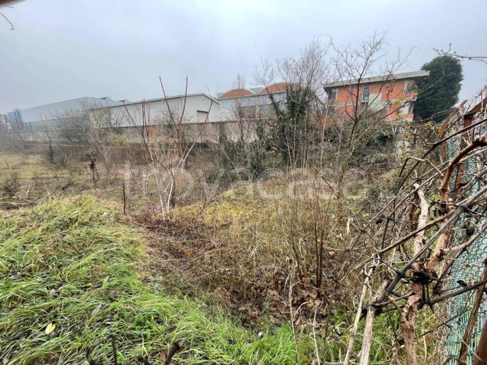 immagine annuncio 9 di 13