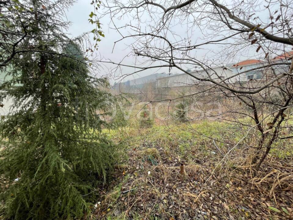 immagine annuncio 10 di 13