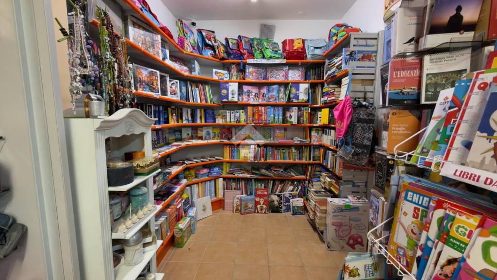 immagine annuncio 9 di 15