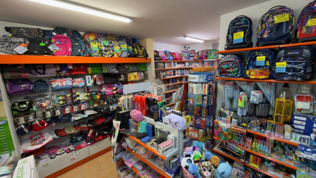 immagine annuncio 11 di 15