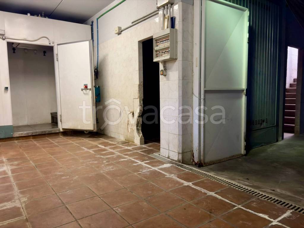 immagine annuncio 5 di 11