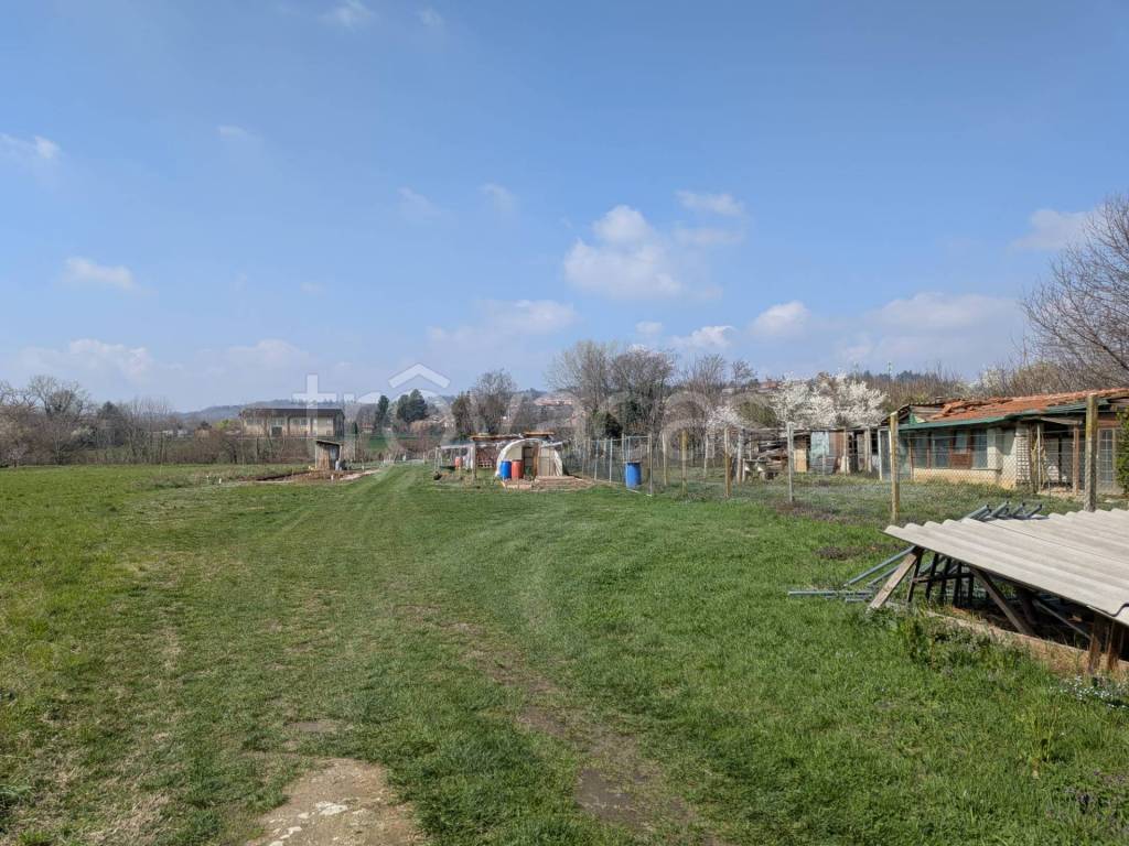 immagine annuncio 1 di 12