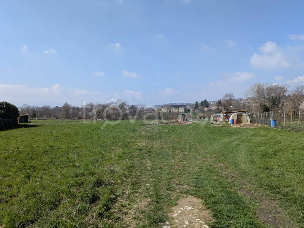 immagine annuncio 2 di 12