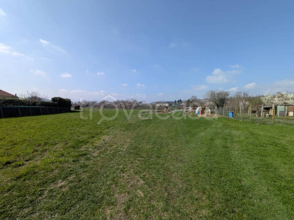 immagine annuncio 3 di 12