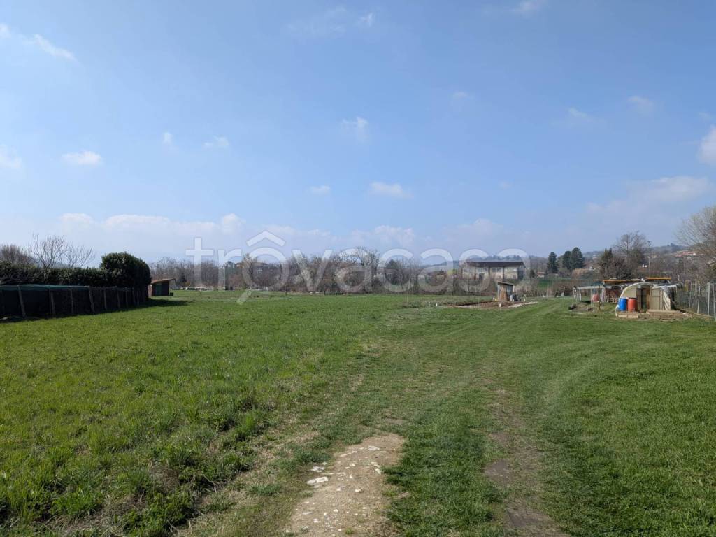 immagine annuncio 4 di 12