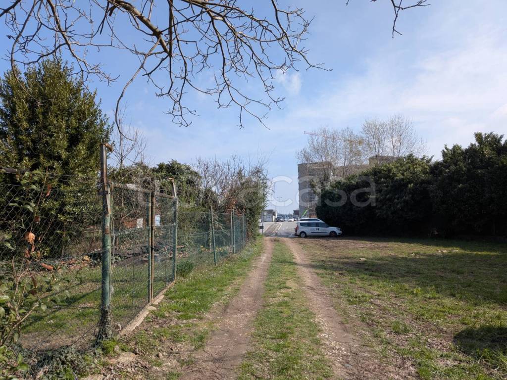 immagine annuncio 5 di 12