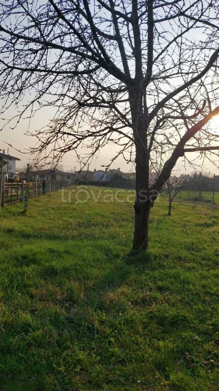 immagine annuncio 9 di 12