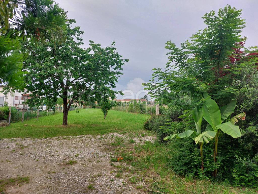 immagine annuncio 10 di 12