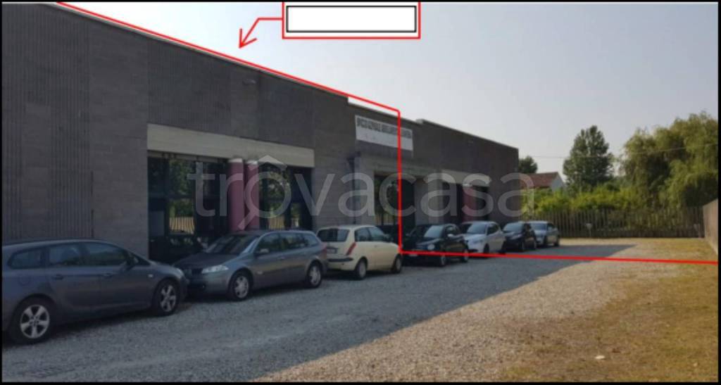 immagine annuncio 1 di 12