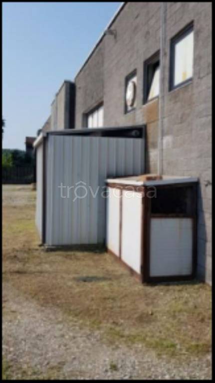 immagine annuncio 2 di 12