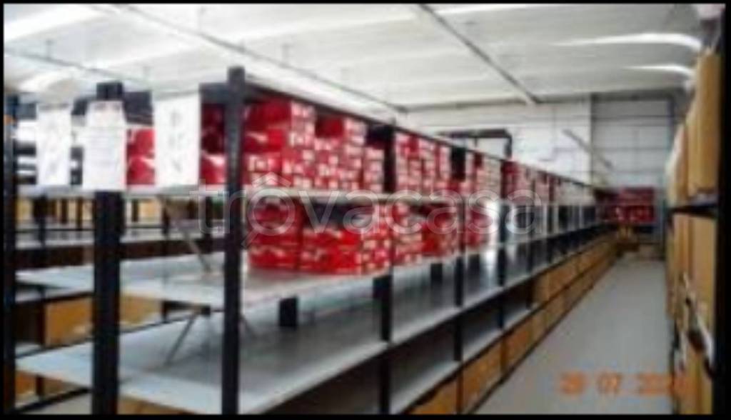 immagine annuncio 7 di 12