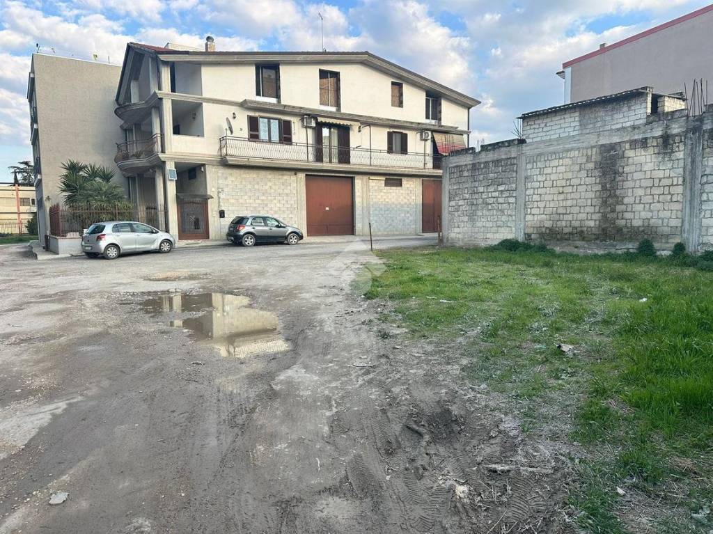 immagine annuncio 2 di 11