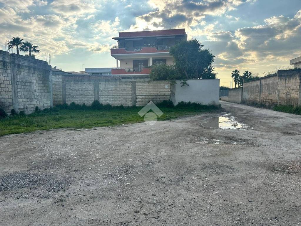 immagine annuncio 5 di 11