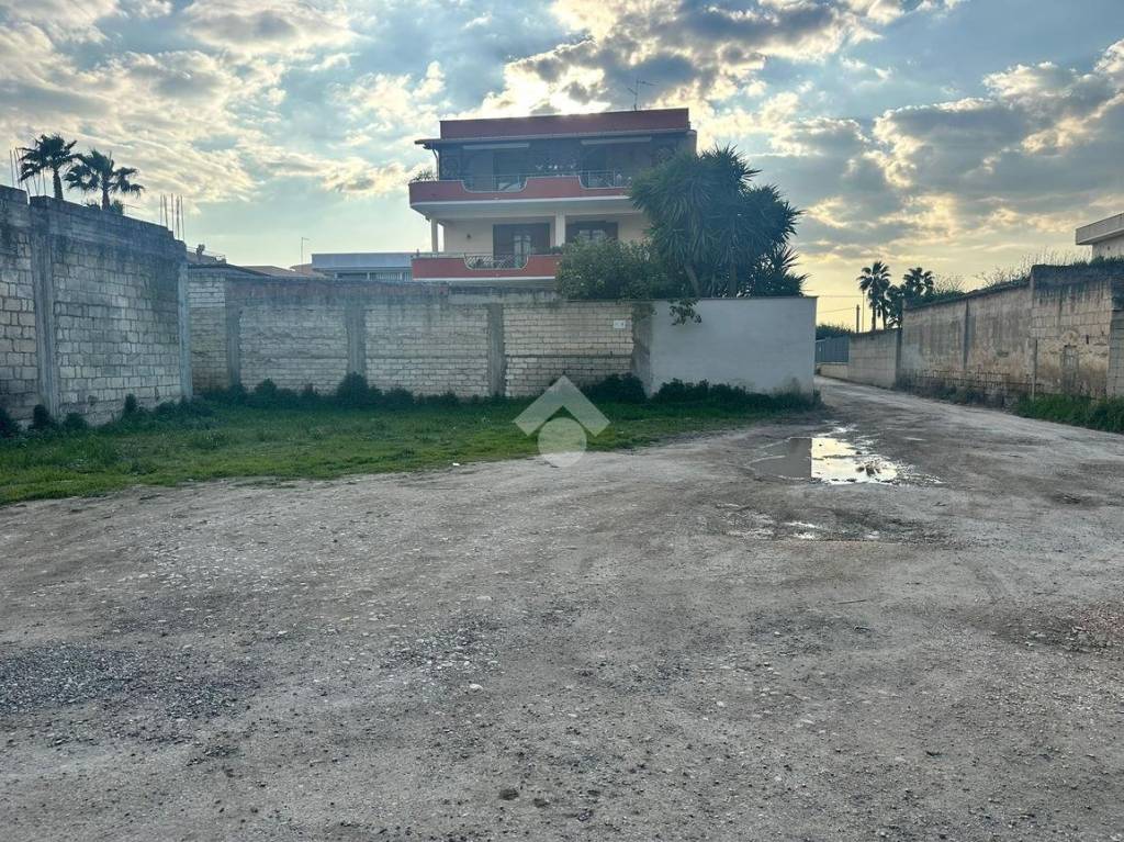 immagine annuncio 6 di 11