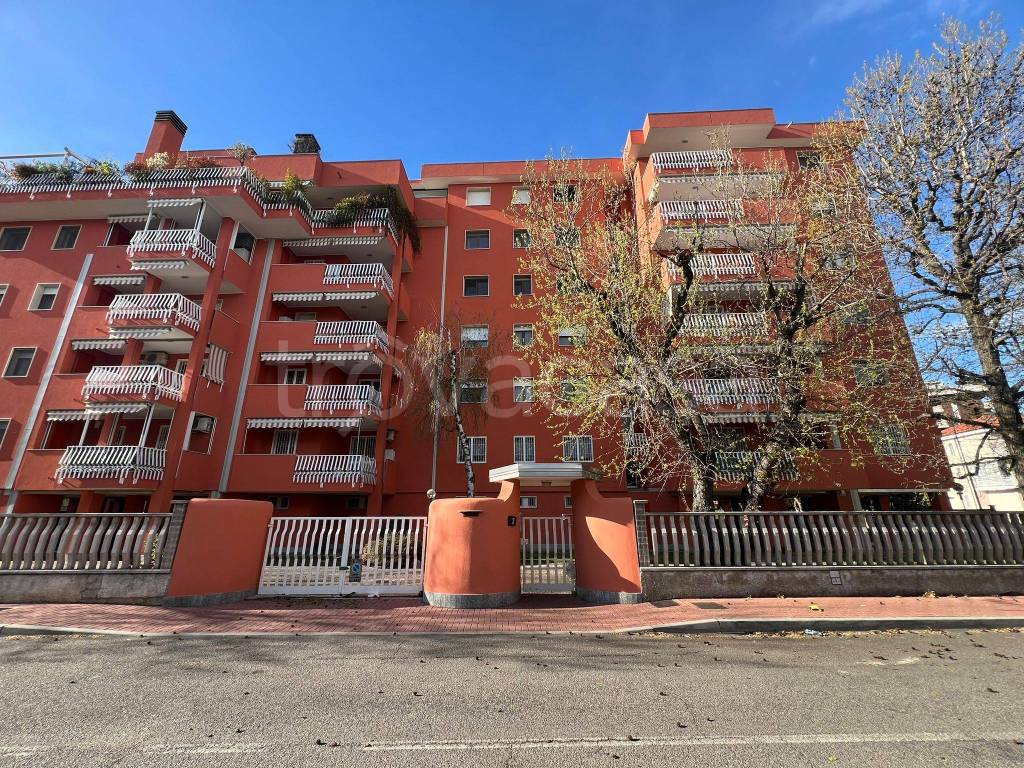 immagine annuncio 2 di 4