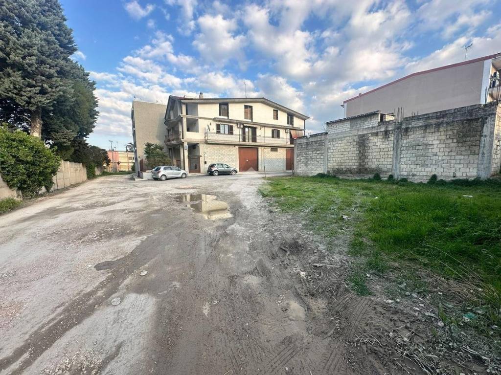 immagine annuncio 10 di 11