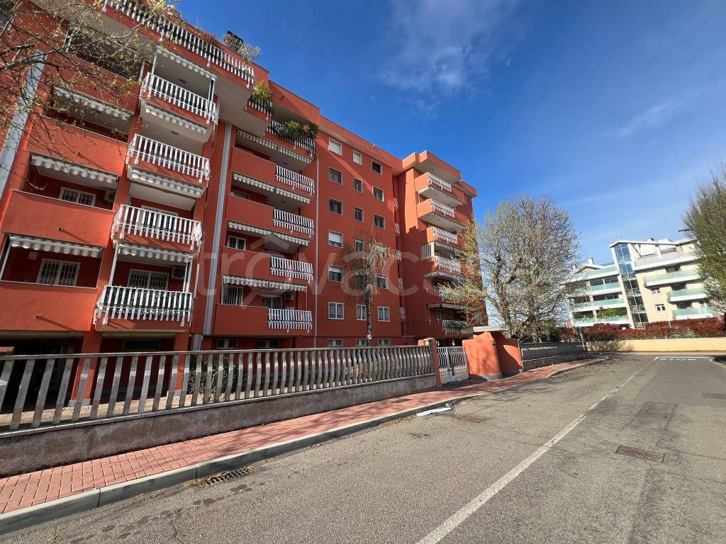 immagine annuncio 1 di 4