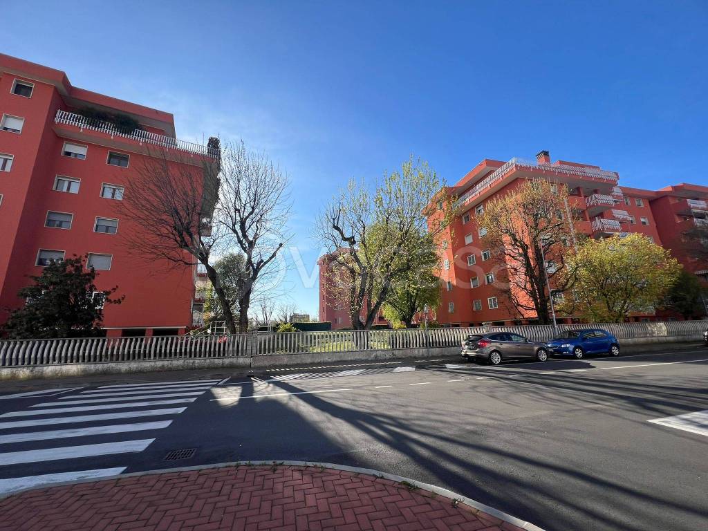 immagine annuncio 3 di 4