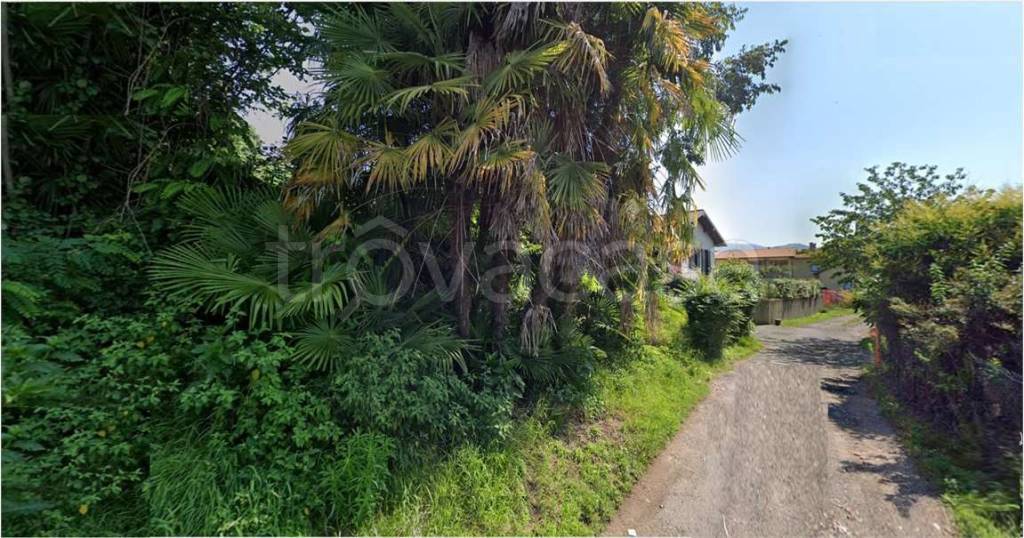 immagine annuncio 3 di 6