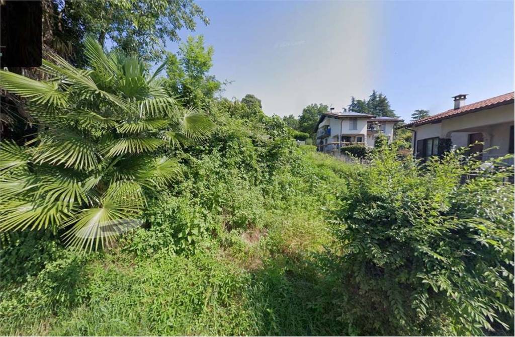 immagine annuncio 4 di 6