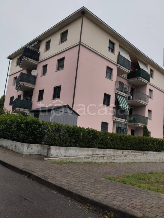 immagine annuncio 2 di 13