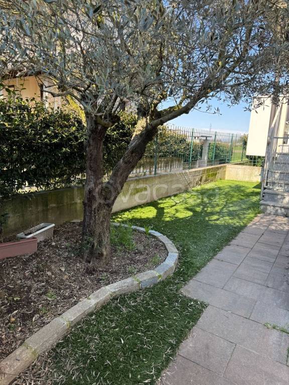 immagine annuncio 6 di 15